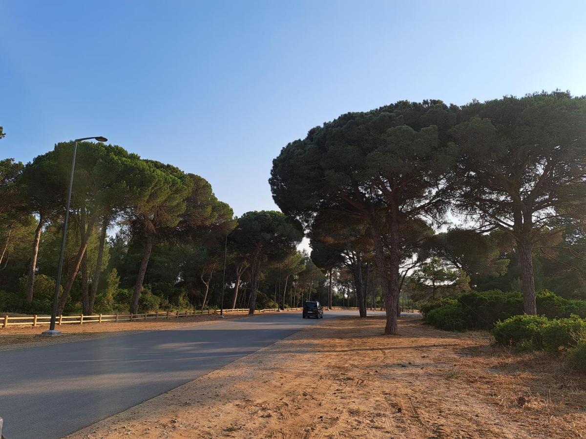 Cosy Appartement A 3Min De La Foret Et 5Min De La Plage Танжер Экстерьер фото